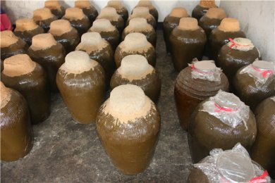 ��������β����������������վ� �������