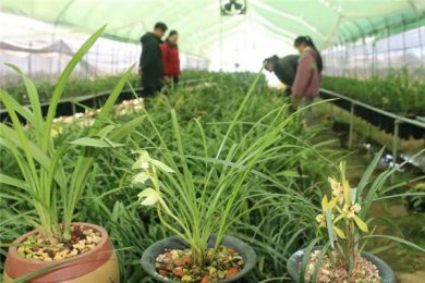 �����ա� �����ĵ��������