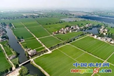 أ쵼߶Ӳչũҵũ幤