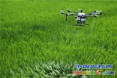 ɽ������ǿ���溦���Σ�������������