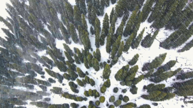 �����������ᡰ���ˡ��ǳ�����ɽ����ʽ���еǸߴ����ɹ��ٰ�