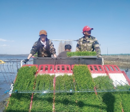 李小军:“一分田”认养 让好米“看得见”