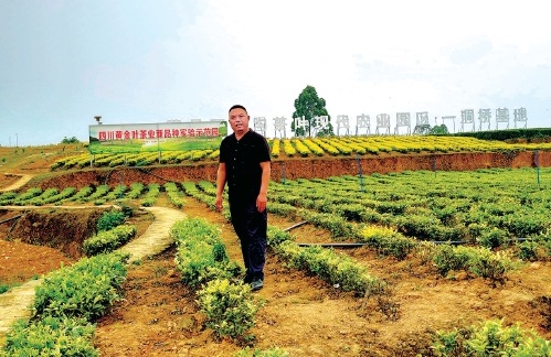 倾心铺就强村富民路