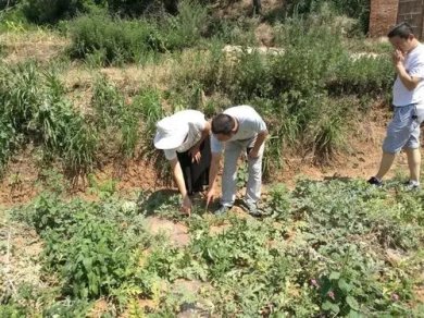 ׯŽֵֺأũרҵͷָֺԾ