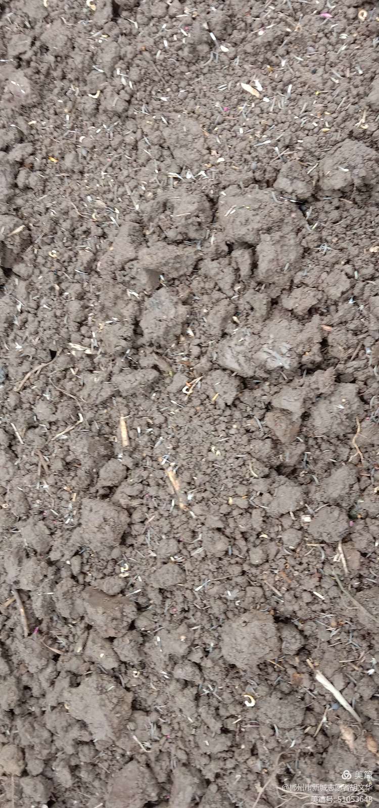 “但留方寸地,留与子孙耕”新时代文明实践志愿服务活动